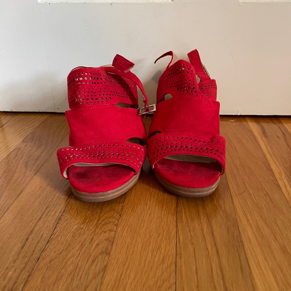 Red wedges